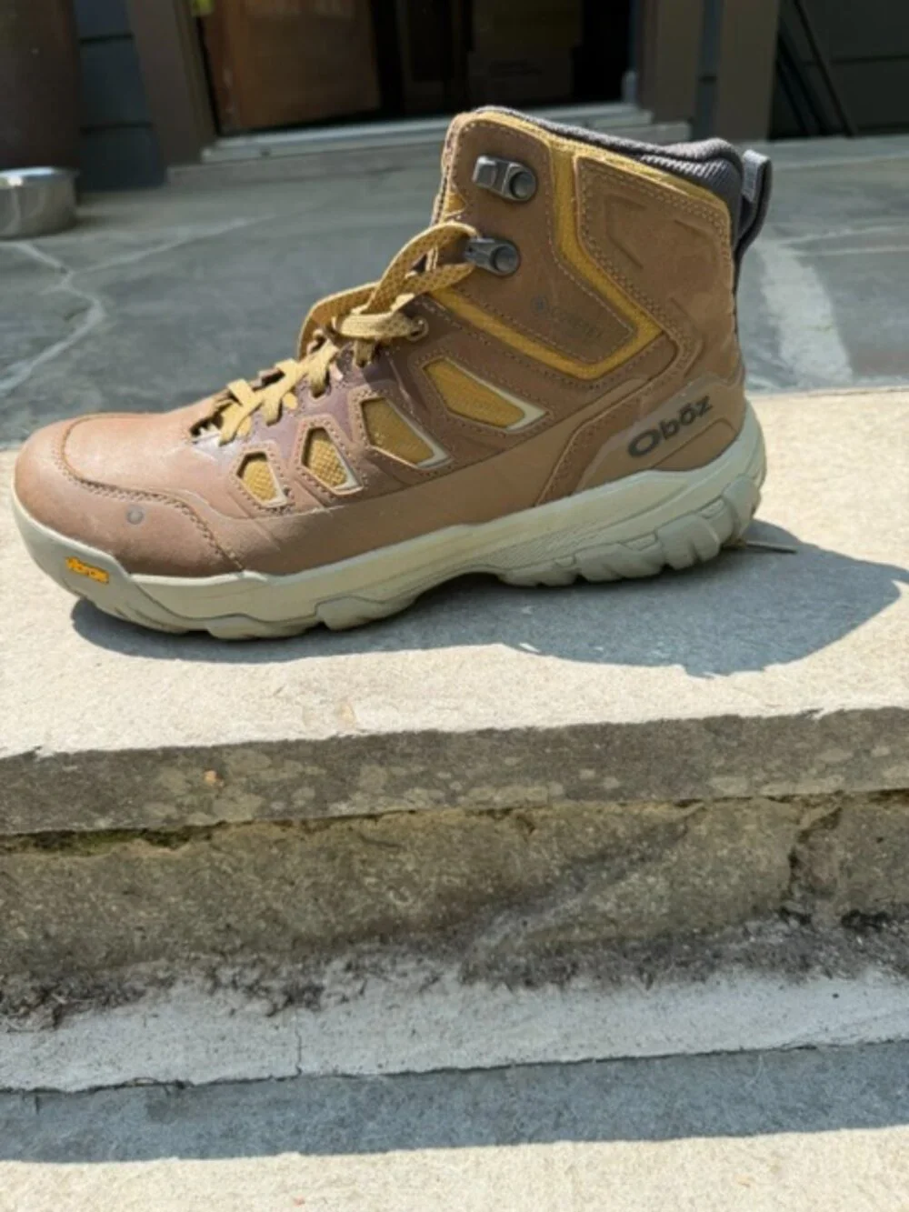 Sawtooth X Pro Mid GTX Waterproof Boot in Tadpole